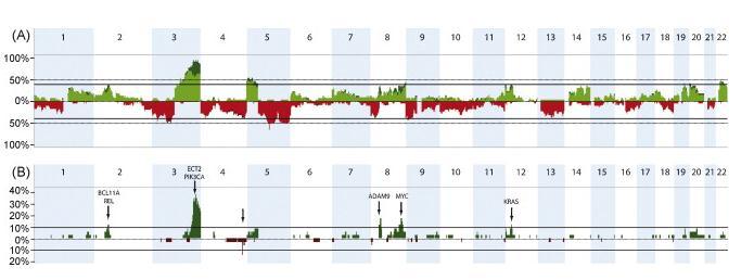 Laphámsejtes tüdőrák acgh analízise A: Összes minta PIK3CA 3q26.2-q27.