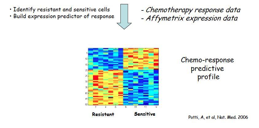 NCI-60 sejtvonal panel Kemorezisztens tumorok kezelésének újabb lehetőségei rezisztens és érzékeny sejtvonalak azonosítása expressziós prediktor a válasz előrejelzésére -