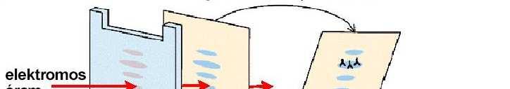 IV./3. Western Blot 1. SDS-gél 2.