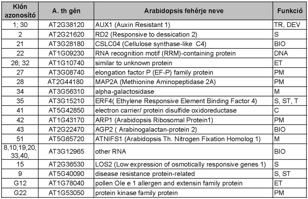 7-2. Táblázat. A 18 azonosított Arabidopsis thaliana L. cdns-ekhez tartozó gén és az általuk kódolt fehérjék feltételezet biológiai funkciója.