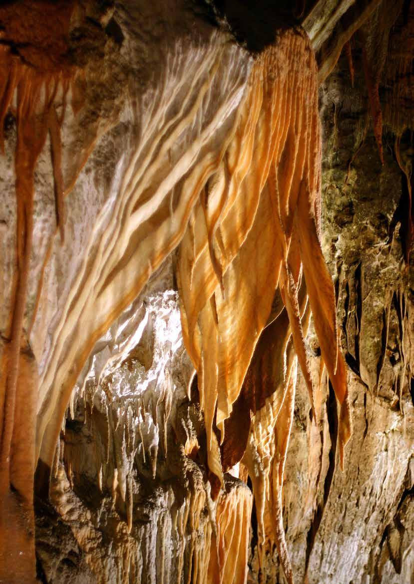 Postojnska jama je največja kraška jama v Sloveniji s kar 24.