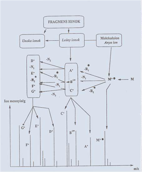 1. Ionforrás, ionizáció: 1) Elektronütközéses ionizáció (electron impact, EI): nagyvákuumban (10-5 -10-6 mbar), nagy sebességű elektronok ütköznek a gázfázisban lévő molekulákkal, és így pozitív,