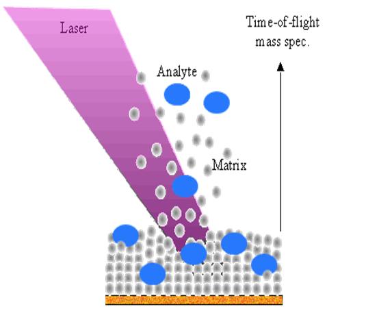 1. Ionforrás, ionizáció: 8) Termospay ionizáció (TSI): forró oldathoz elpárologtatható elektrolitot (pl: ammónium-acetát) adnak, mely hatására töltött cseppecskék jönnek létre, melyek fokozatosan