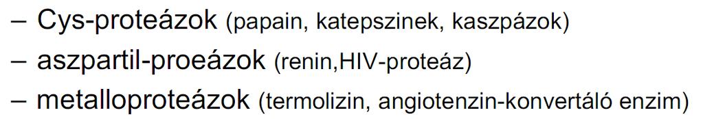 kimotripszin Másik példa: szubtilizin (enzimes