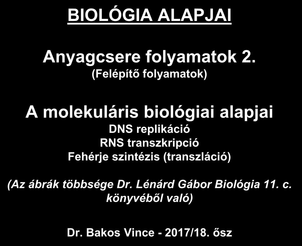 BIOLÓGIA ALAPJAI Anyagcsere folyamatok 2.