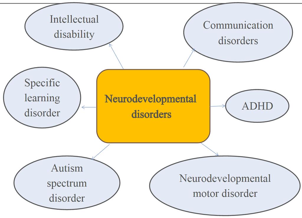 Patológia Diagnostic and Statistical Manual of Mental Disorders (DSM) Traumás agysérülés (pl.