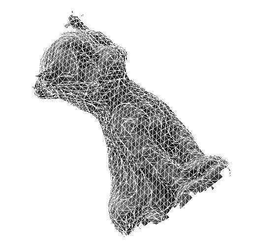 3. A MODELL-REKONSTRUKCIÓS MÓDSZEREK ÁTTEKINTÉSE 3.5. ábra. A 3D-s rekonstruált macska háromszöghálóval. függőlegesen haladó fogaskereket renderelni a felvételre.