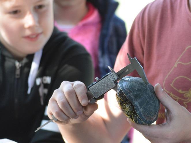 Reptile Conservation Group of the Birdlife Hungary.