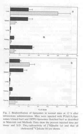 vincristin (Onco TCS) perifériás idegek károsodása, kopaszság Ara-C (DepoCyt ) csontvelő-, bélfalkárosodás