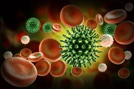 Herpes vírus fertőzések Human Herpes Virus 8 (HHV8) HHV8 Real-TM ÚJ (Katalógusszám: V203-100FRT)