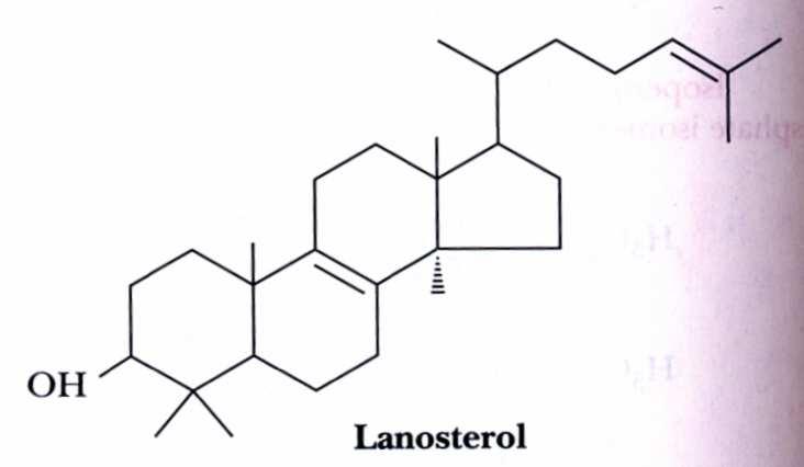 14 lanoszterin (C30) 4 számos enzimatikus lépés 19 11 12 13 21 22 20