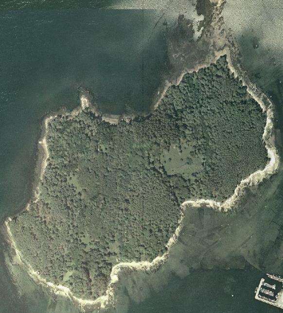 De igual xeito que no resto de arquipélagos os anos 60 trouxeron consigo o progresivo abandono de da Illa, momento no que os propietarios da illa intentando rendabilizar as terras introduciron