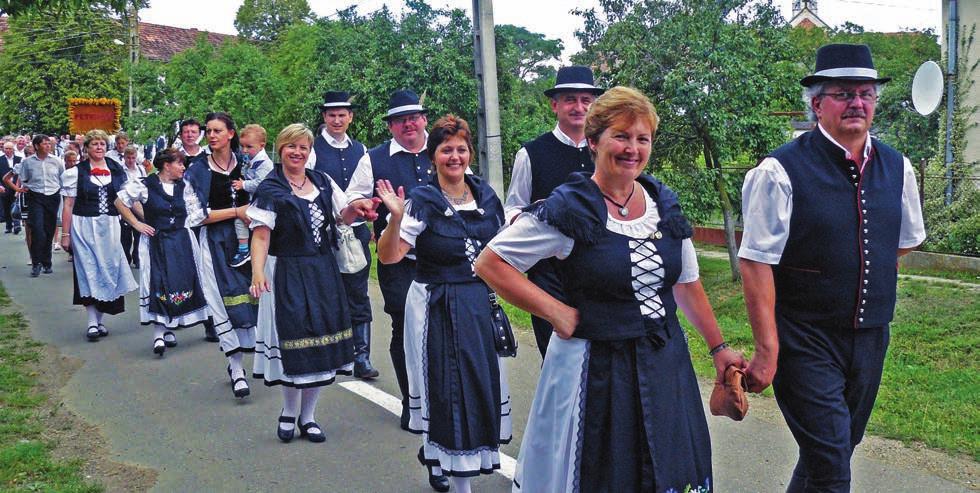Schwabenpost Nr. 8. VIII. Jahrgang August 2014 Neue Serie: Herausgegeben vom Demokratischen Forum der Deutschen aus Sathmar und Nordsiebenbürgen Die Wurzeln nicht vergessen!
