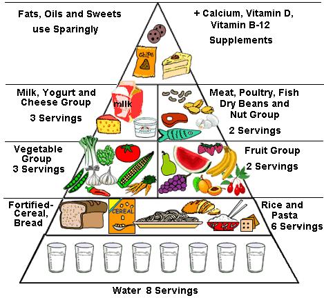A táplálkozási piramis lipidek Zsírok, olajok, édességek nagyon takarékosan!