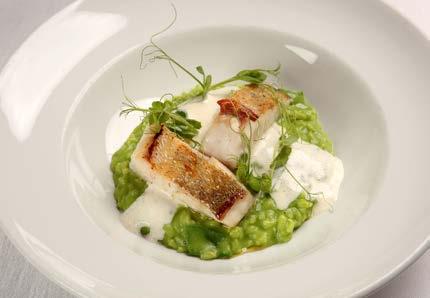 fillet of pike-perch served with green pea flavoured risotto and parmesan foam Fogas filé