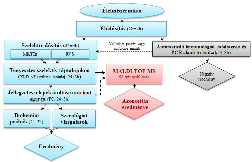 Salmonella spp.