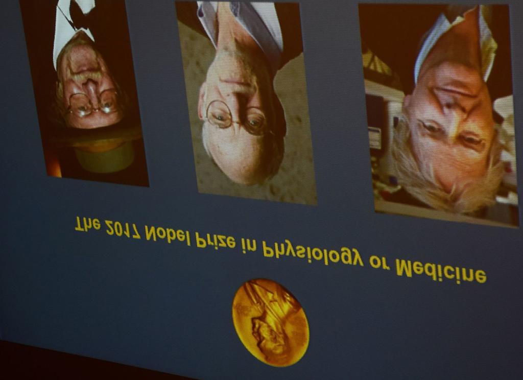ACTA SANA NEMZETKÖZI KITEKINTŐ, AKTUALITÁSOK Orvosi-Élettani Nobel-díj 2017. Összeállította: Dr.