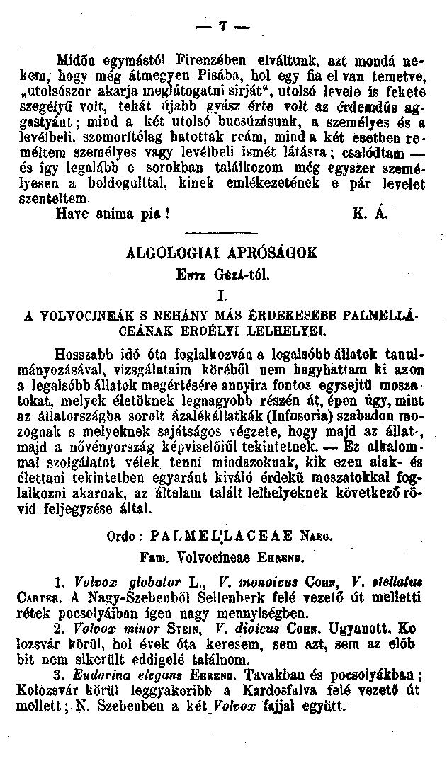 f _ Midőn egymástól Firenzében elváltunk, azt monda nekem, hogy még átmegyen Pisába, hol egy fia el van temetve, utolsószor akarja meglátogatni sírját", utolsó levele is fekete szegélyű volt, tehát