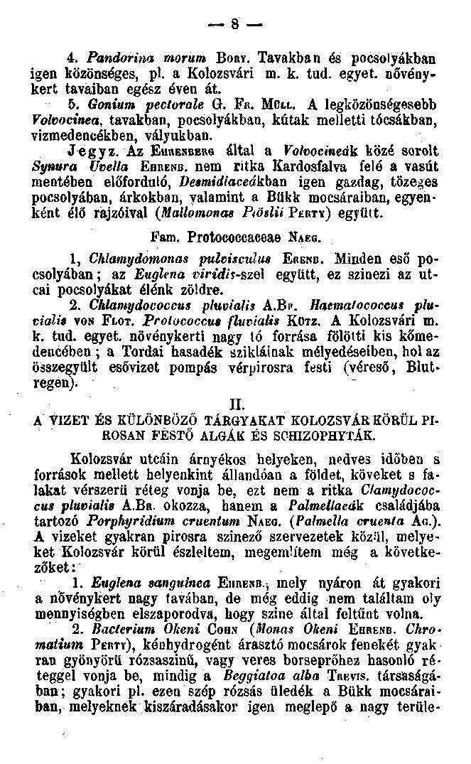 8 4. Pandorma morum BORY. Tavakban és pocsolyákban igen közönséges, pl. a Kolozsvári m. k. tud. egyet, növénykert tavaiban egész éven át. 5. Gonium pectorale G. FR. MÜIL.