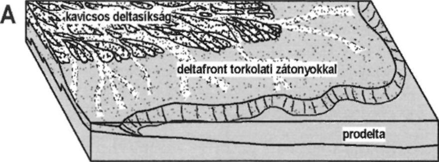 A homokos deltafront medencebeli, helyenként bioturbált agyagos üledékeivel összefogazódó disztáüs fáciesei (nearshore) már prodelta üledékeknek tekinthetők.