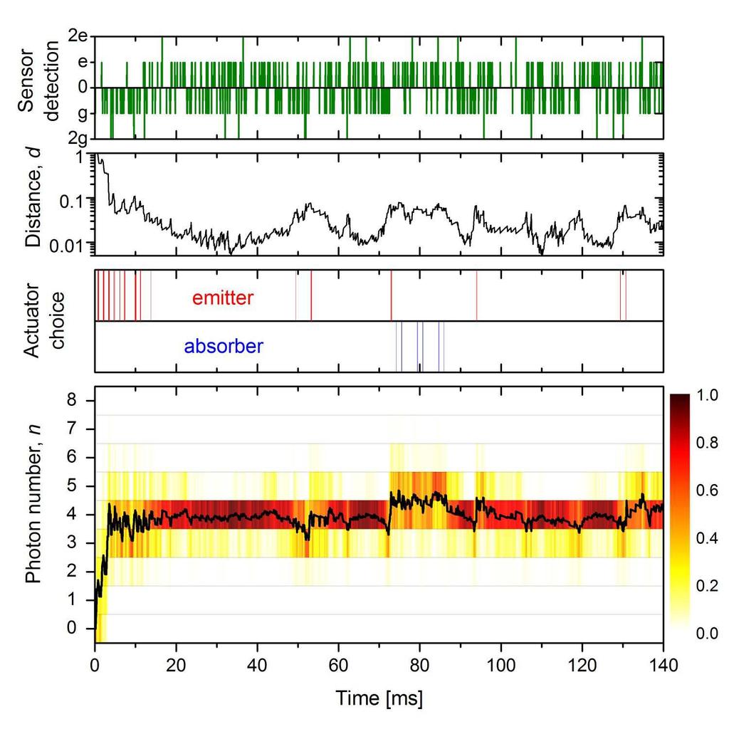 The field-ionization detector D measures the qubits in the e/g basis with a 35% detection efficiency and a few percent error rate (see Supplementary Methods).