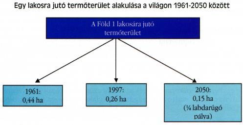 A FÖLDHASZNÁLAT mikroökonómiai modellje Földhasználati alaptípusok versengése kis helyigény, 1ha- on nagy értéket termelők: városokban, magas ár nagy területigény, 1ha on kis értéket termelők: vidék,