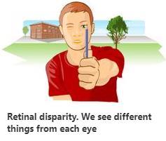 Térlátás Diszparitás=különbség BINOCULÁRIS DISZPARITÁS A térlátás alapja- mélységérzékelés : A két szem
