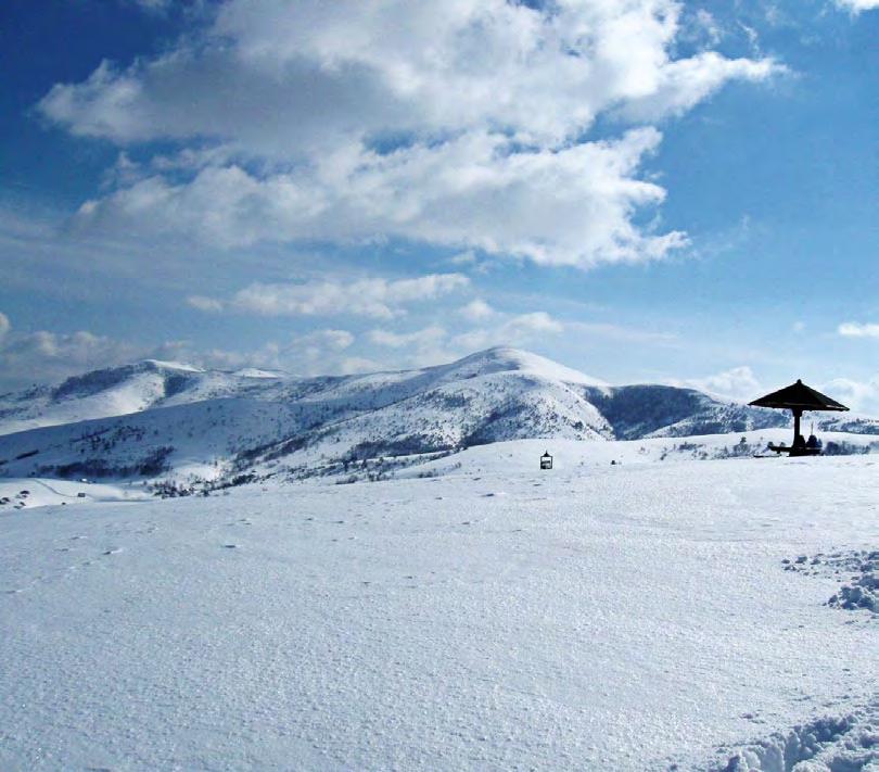 Sloboda rada U prelepom ambijentu bisera turizma Srbije, proveli smo nezaboravan vikend sa vodećim distributerima FLP-a Srbije, sa nadom da ćemo atmosferu i energiju koju smo stvorili