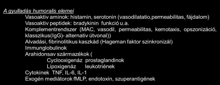 Vaszkuláris történések A gyulladás sejtes elemei Neutrophil gr,(baktériumölő specialisták, secretálni is tudják enzimeiket (NET) Eosinophil gr,(mbp,ecp) paraziták, férgek elleni védelem Basophil,