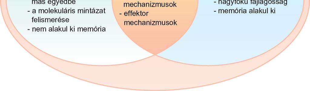 veleszületett és az adaptív