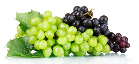 carta dei vini wines - borok BIANCO - White - Fehér Zonin Chardonnay I Veneto Fantinel Borgo Tesis Pinot Grigio I Friuli Bottega Soave Classico DOC I Veneto Fantinel Borgo Tesis Friulano I Friuli
