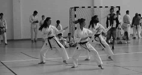 Az idén, május 25-én újra alkalom nyílott arra, hogy egy eredeti okinawai harcművészeti iskola különleges technikáit próbálgathatták, gyakorolhatták a galgamenti wadosok.