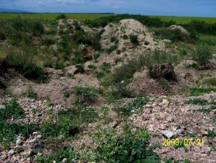 2009-ben Fénykép: Gyarmati Boldizsár Az opál a Hosszú-hegyen a kőzet felszínen hialitos kérgekben, de sokkal