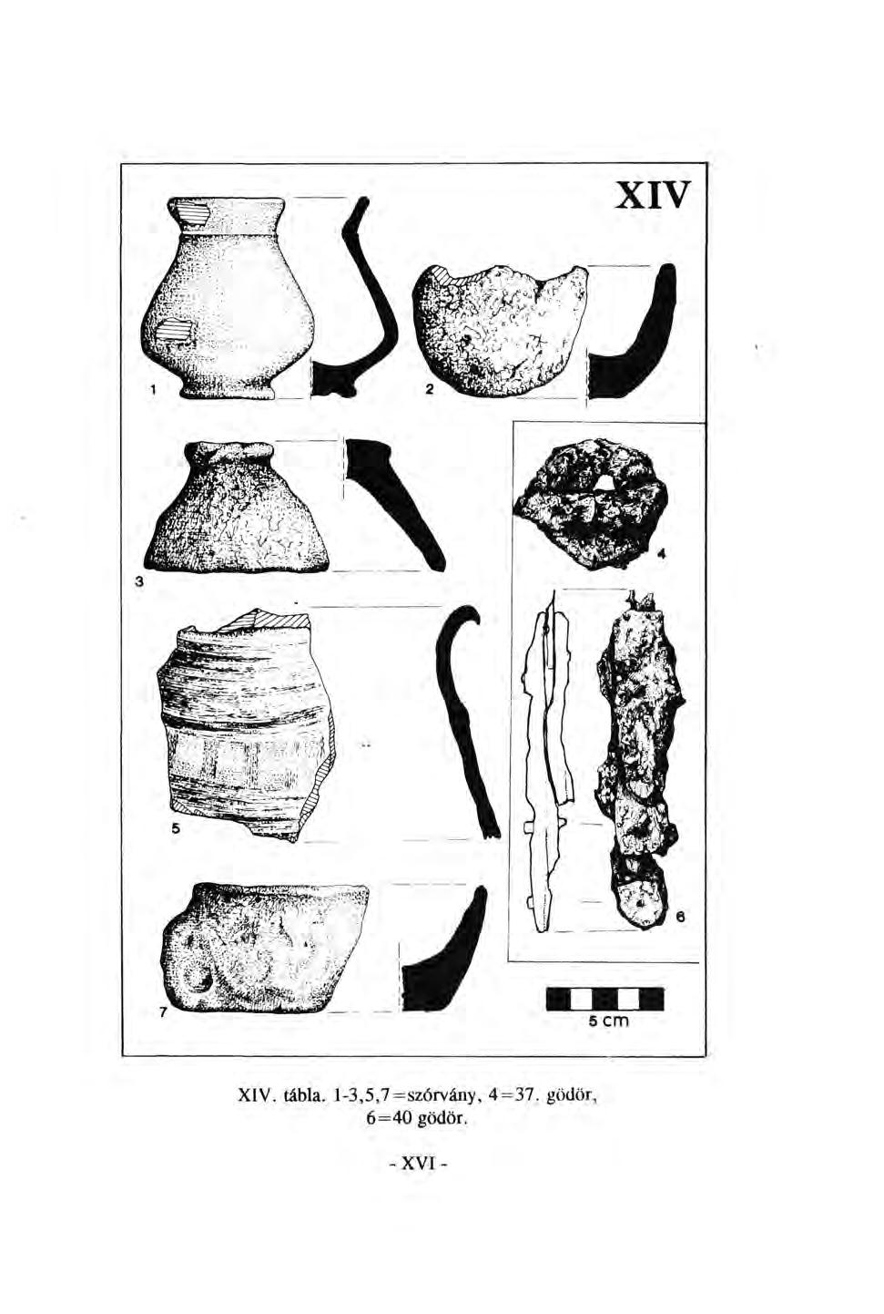 XIV. tábla.