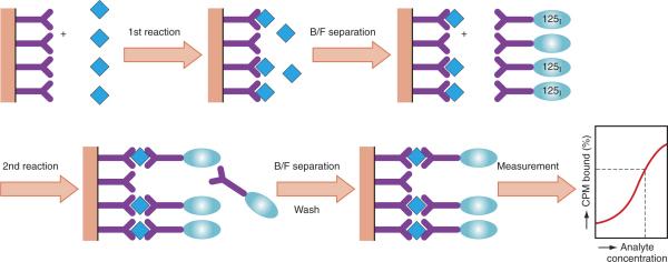 Szendvics RIA = immunoradiometrikus assay: a befogó antitest a szilárd fázishoz kötve Első reakció Kötött/ szabad