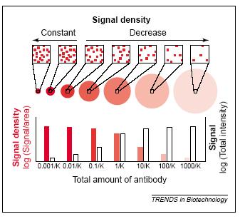 A jel és a jel sűrűség aránya a mikrospoton: a multiplex ambiens assay teóriájának elve Növekvő méretű spot-on a befogó molekulák ha ugyanolyan
