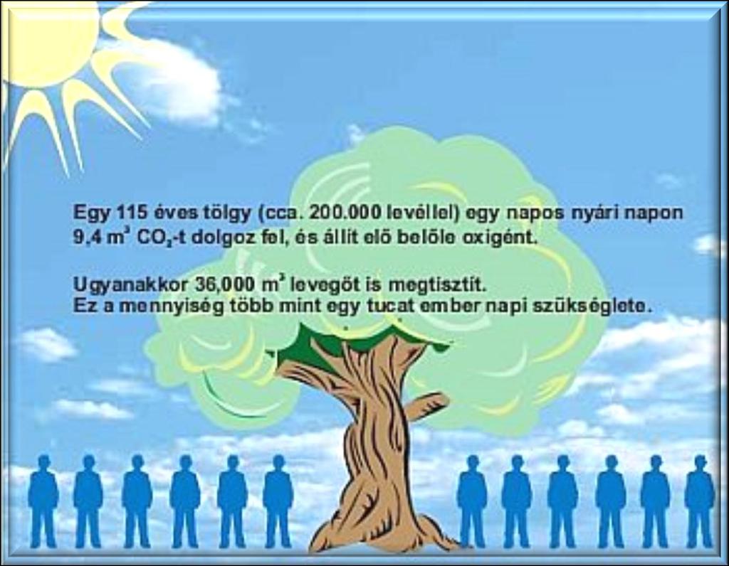 CO2-Equivalent Emission Capacity of Natural Absorbers E.g. On a sunny summer day, a 100 years old oak tree produces 9.