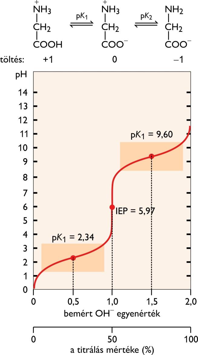 Izoelektromos pont pk 2 = 9,60 A két