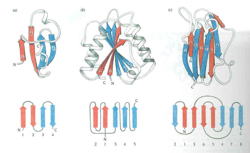 α/β-szerkezetek aszpartát