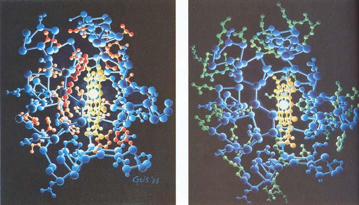 hidrofób csoportok hidrofil csoportok