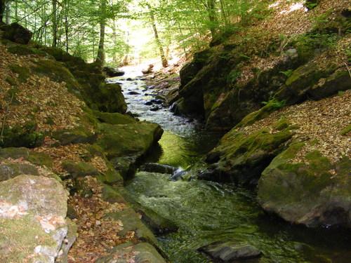 Turism Turismul este o activitate prin care se poate valorifica foarte uşor resursele (naturale şi cele culturale) ale unei comunităţi, contribuind la dezvoltarea localităţii şi la bunăstarea