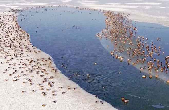 PREMIEREK További premierek: az -n 7 MOZI Vad Balaton 6 Aki nem csak fürdési és rekreációs célból keresi fel a Balatont, jól tudja, hogy Közép- Európa legnagyobb tava és annak környezete kivételes