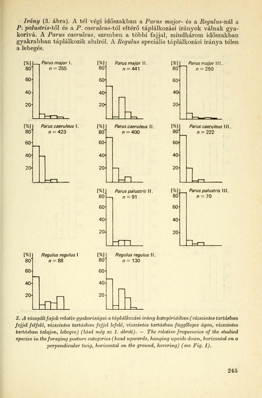 Irány (3. ábra). A tél végi időszakban a Parus major- és a Regulus-n&\ a P: palustris-töl és a P. caeruleus-tól eltérő táplálkozási irányok válnak gyakorivá.