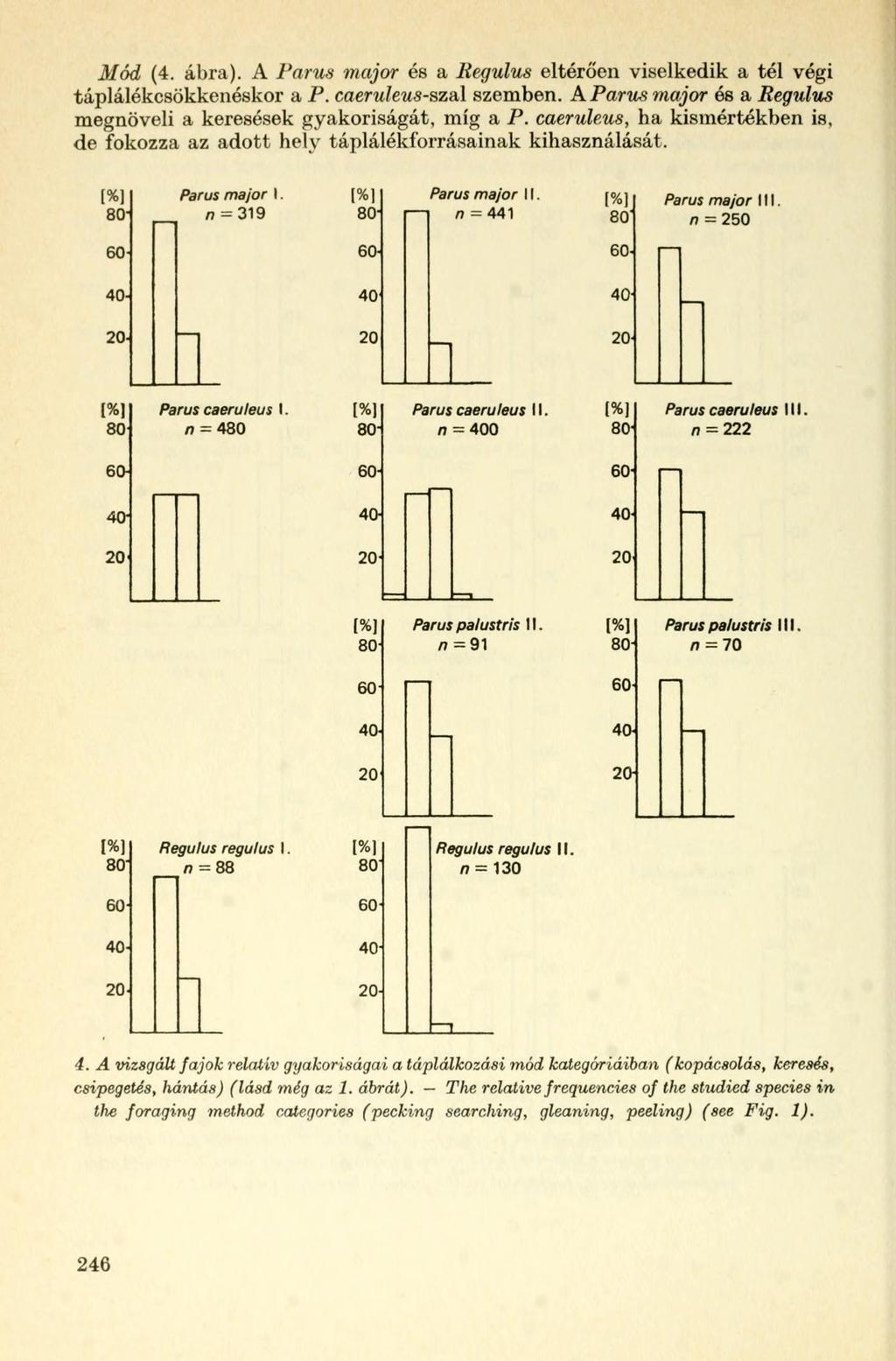 Mód (4. ábra). A Parus major és a Regulus eltérően viselkedik a tél végi táplálékcsökkenéskor a P. caeruleus-szal szemben. A Parus major és a Regulus megnöveli a keresések gyakoriságát, míg a P.