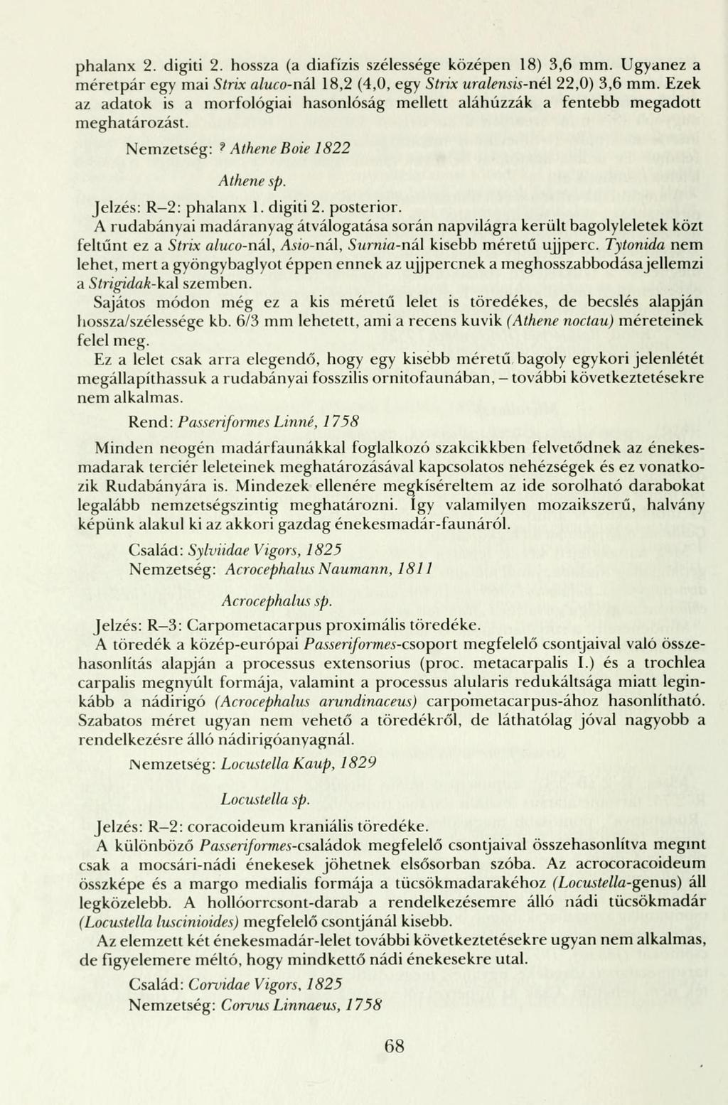 phalanx 2. digiti 2. hossza (a diafízis szélessége középen 18) 3,6 mm. Ugyanez a méretpár egy mai Strix aluco-ná\ 18,2 (4,0, egy Strix uralensis-né\ 22,0) 3,6 mm.