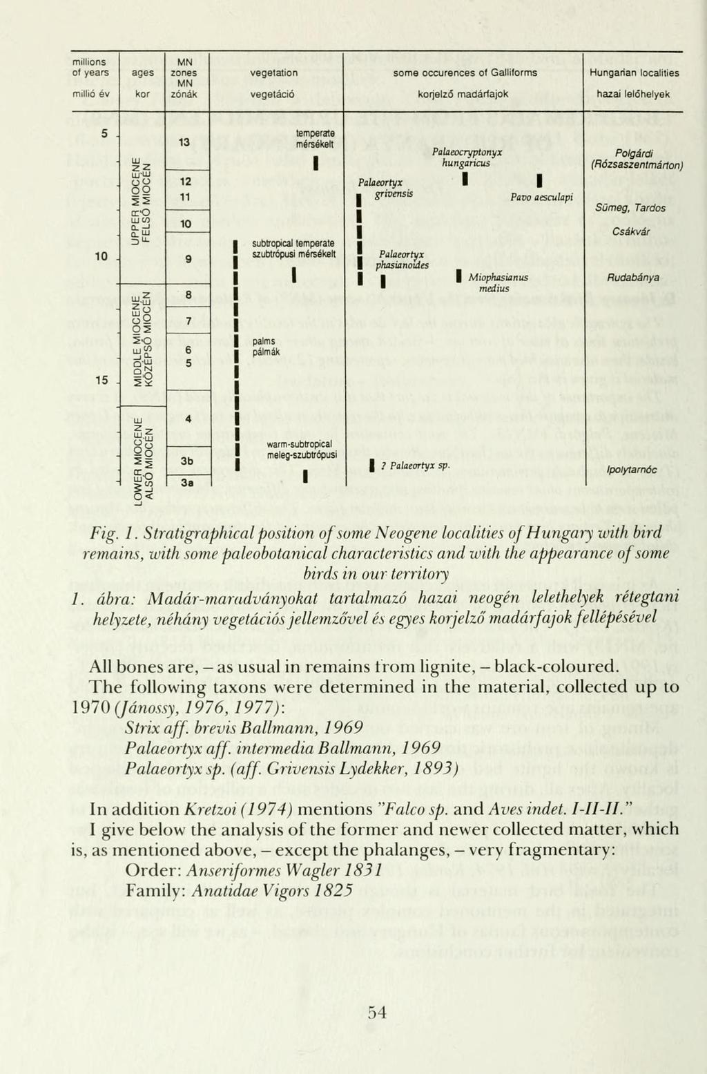 millions o( years millió év ages kor MN zones MN zónák vegelation vegetáció some occurences ot Gallilorms korjelző madárfajok Hungárián localities hazai lelőhelyek 5. 10.