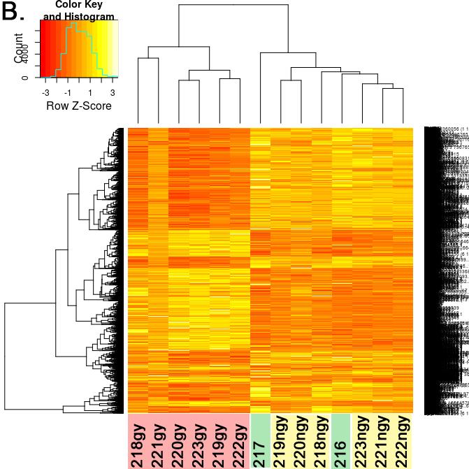 hasonlóságok (7B.  7. ábra: A TNBS által kiváltott patkány IBD modell vizsgálata során létrehozott in vivo mintacsoportok közötti transzkripciós hasonlóságok és különbségek globális feltérképezése.