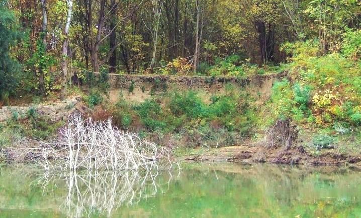 155 KÖZÉP-TISZA HUHN 14 A természet-megőrzési terület Felügyelőségünk illetékességi területén a következő településeket érinti: Besenyszög, Cibakháza, Csataszög, Cserkeszőlő, Csépa, Fegyvernek,