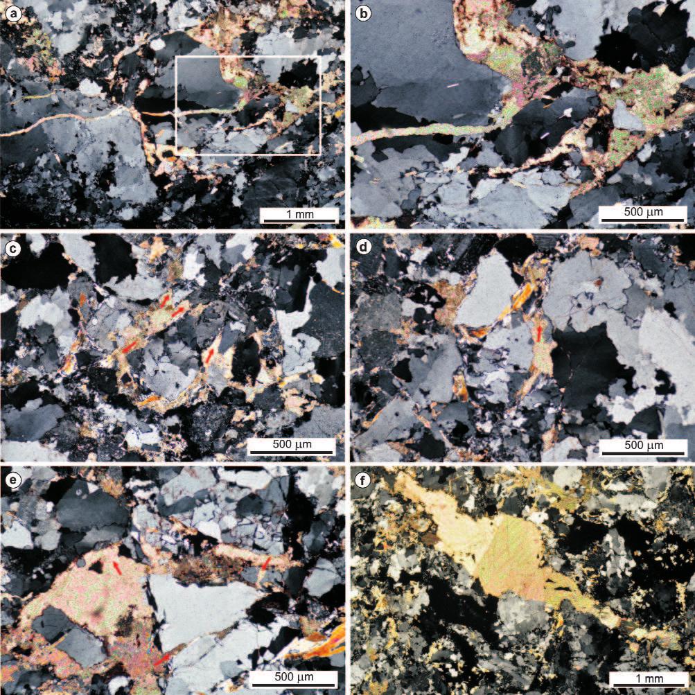 Földtani Közlöny 144/3 (2014) 225 a szemcséket elmetsző, a fő cementfázissal azonos kitöltésű karbonáterek fordulnak elő (12. ábra).