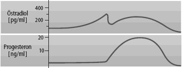 ösztron,, ösztriol Gesztagének: progeszteron, 17α-OH progeszteron